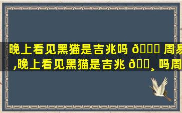 晚上看见黑猫是吉兆吗 🐈 周易,晚上看见黑猫是吉兆 🌸 吗周易解释